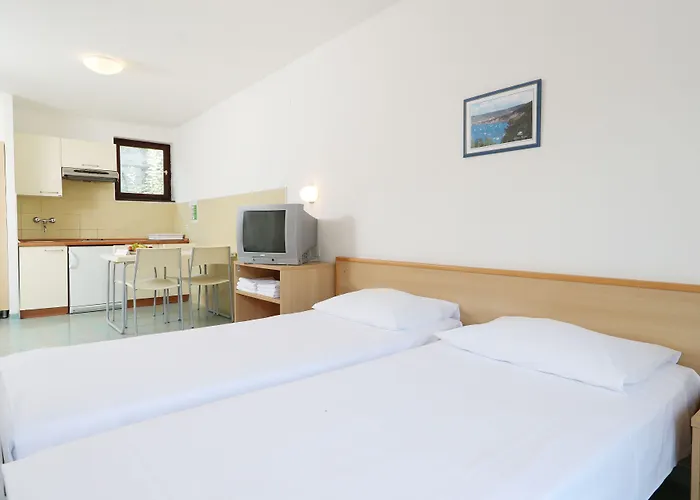 Bioenergy Salinera Strunjan