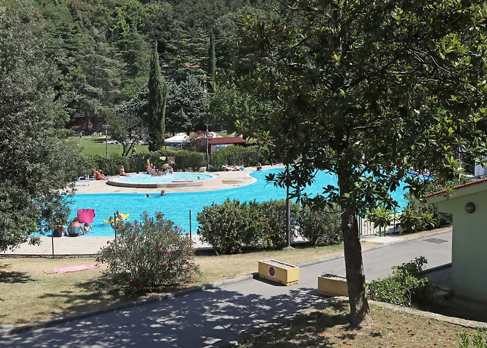 Daire Bioenergy Salinera